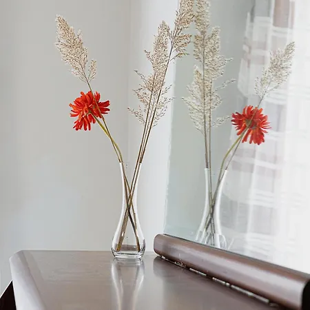Apartament Arches Agria